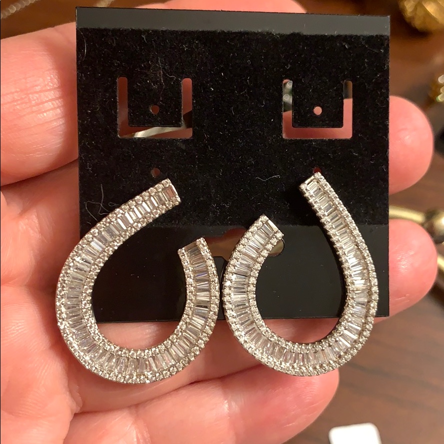 Silver Classy Earrings